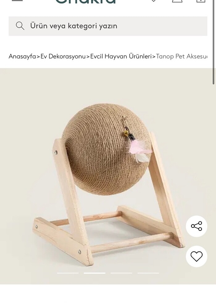 Kedi tırmığı - Görsel 5