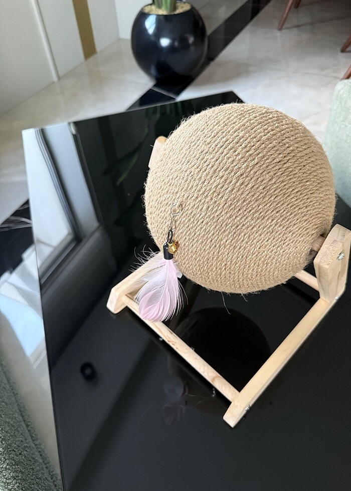 Kedi tırmığı - Görsel 2