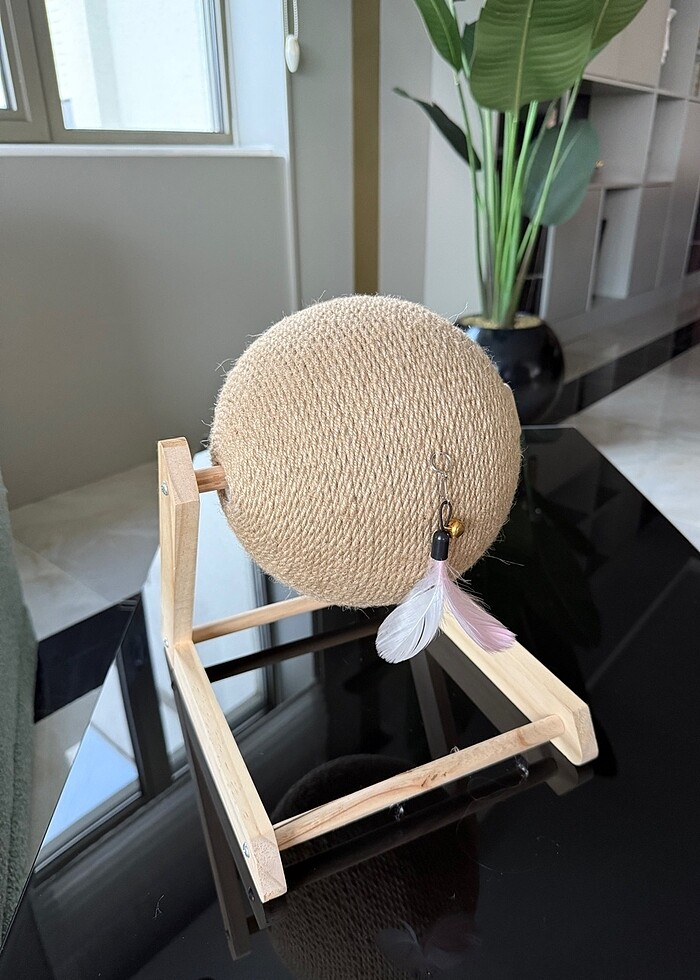 Kedi tırmığı - Görsel 3