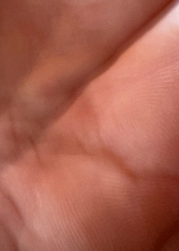 Lowe my body 40beden Kırmızı narçiçeği  Midi Kalem Etek - Görsel 8