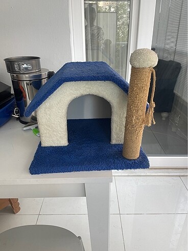 kedi evi