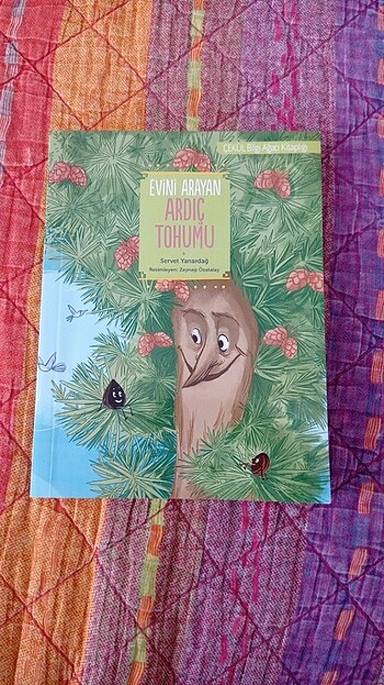 Evini Arayan Ardıç Tohumu