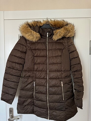 Koton mont