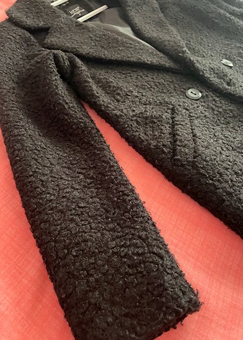 Siyah Kaban - Görsel 3