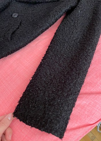 Siyah Kaban - Görsel 4