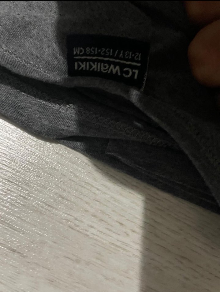 Erkek Gri Pamuklu Baskılı Tişört - Görsel 2