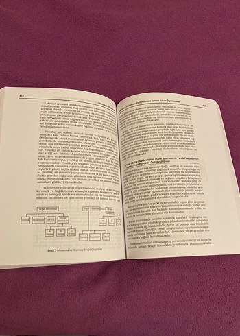Yönetim ve Organizasyon - Prof. Dr. Erol Eren - Görsel 3