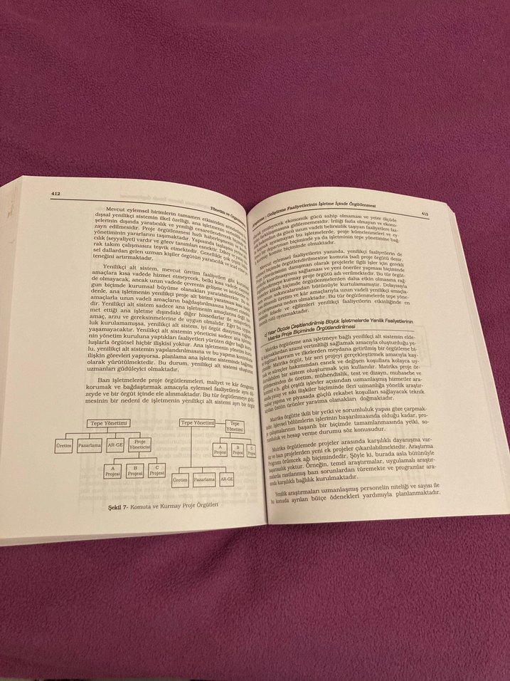 Yönetim ve Organizasyon - Prof. Dr. Erol Eren - Görsel 3