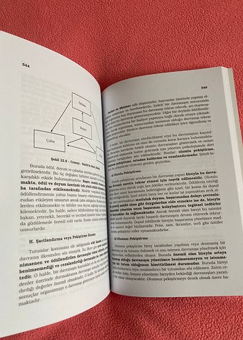 Örgütsel Davranış ve Yönetim Psikolojisi Kitabı - Görsel 2