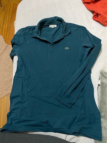 Orijinal lacoste polo