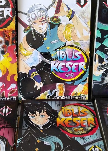 Demon Slayer Manga Serisi - Görsel 3