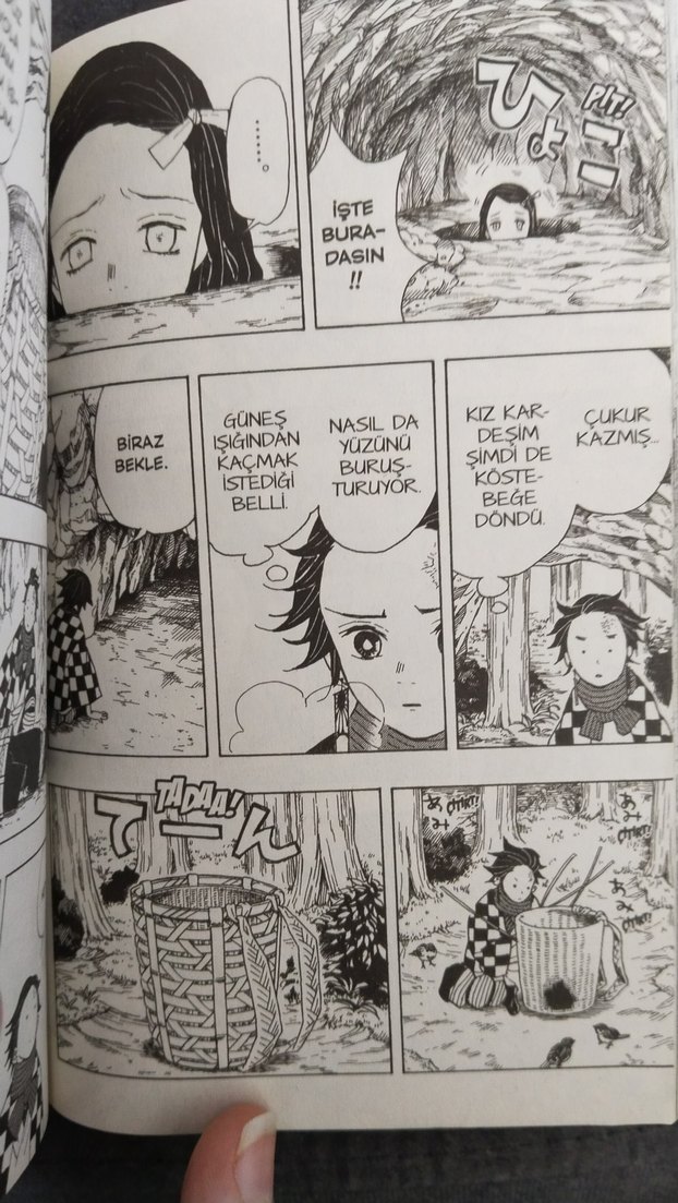 Demon Slayer Manga Serisi - Görsel 4
