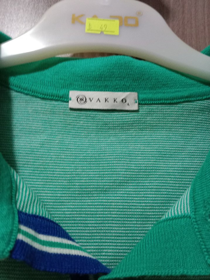 Uzun Kollu Yeşil Polo Yaka Erkek Tişört - Görsel 5