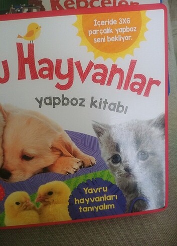  Beden Yapbozlu kitaplar
