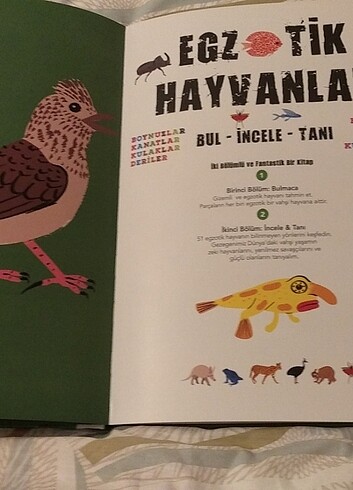 Egzotik hayvanlar kitabi