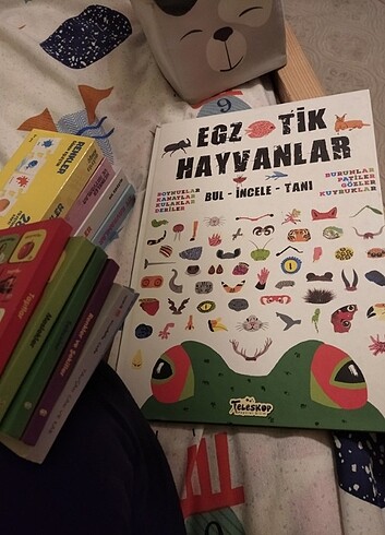 Egzotik hayvanlar 