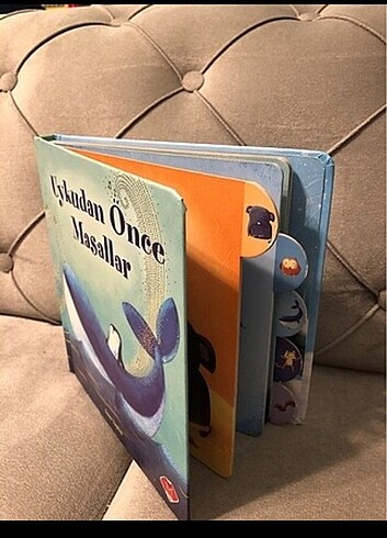 Ciltli kitap