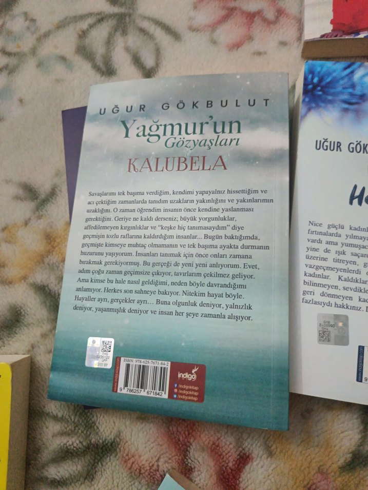 Uğur Gökbulut Roman Seti - Görsel 3