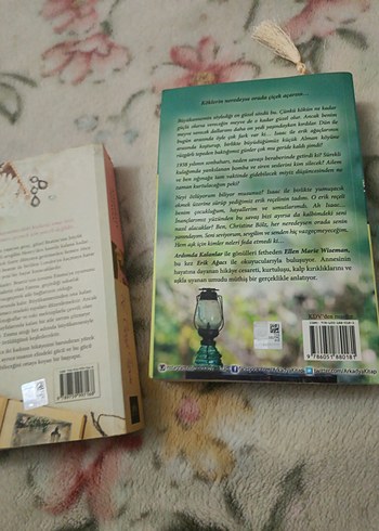 Kir Çiçeği Tepesi ve Erik Ağacı Romanları - Görsel 3