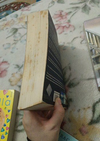 Kristin Hannah 2 Roman Seti - Görsel 2