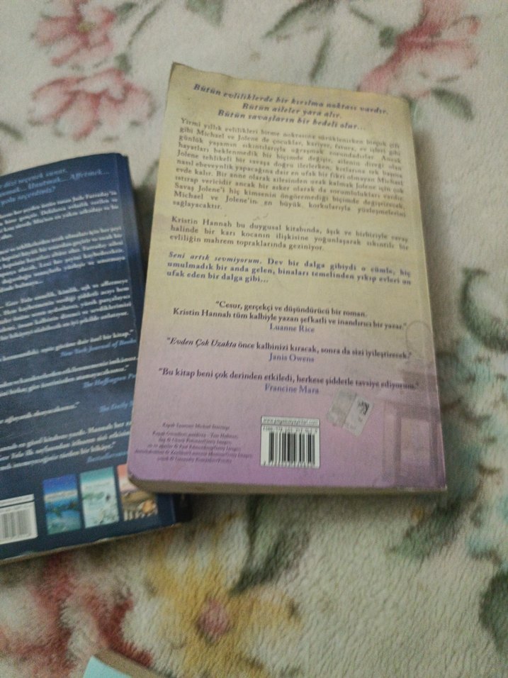 Kristin Hannah 2 Roman Seti - Görsel 4