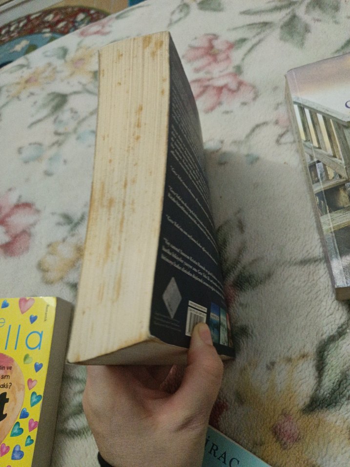 Kristin Hannah 2 Roman Seti - Görsel 2