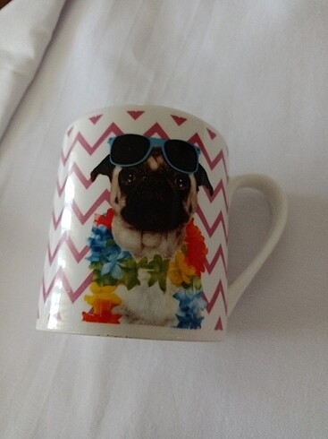 Asos Pug Kupa
