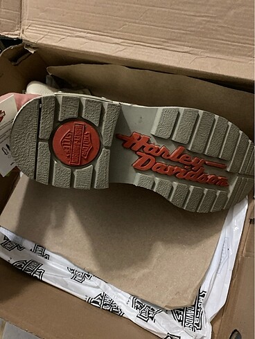 Harley Davidson Harley davidson colmar