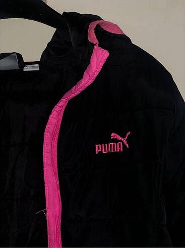 Puma Puma mont