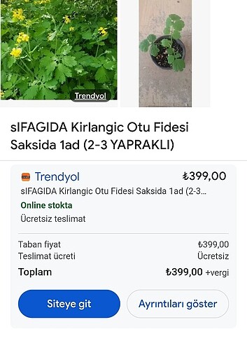 Beden Renk Sağlıklı çok köklü büyük boy