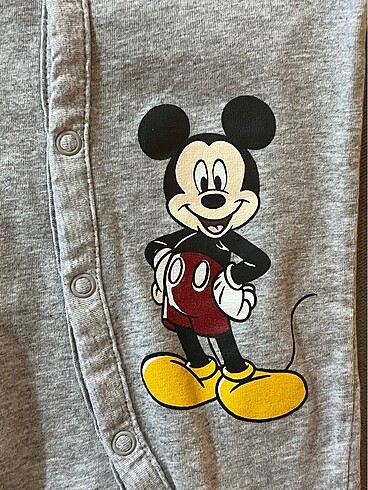 Hm tulum - Görsel 3