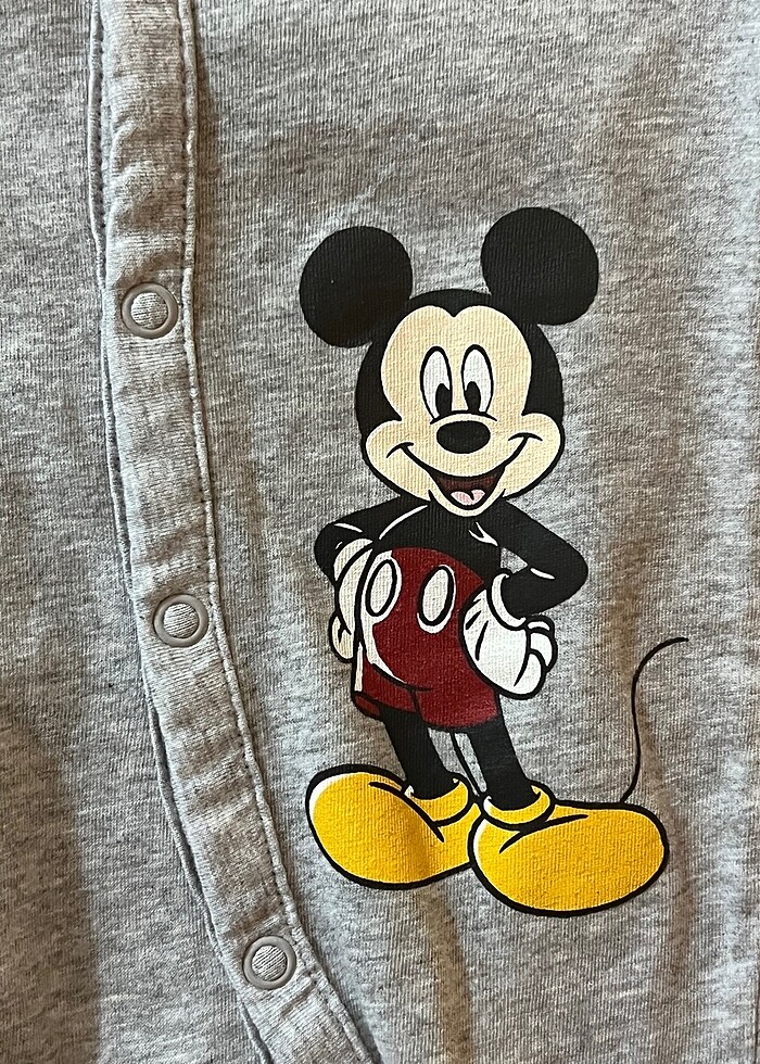 Hm tulum - Görsel 3