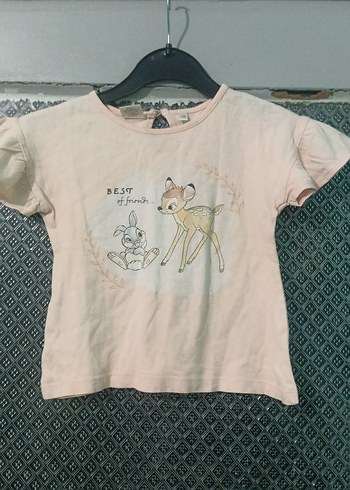 Walt Disney World 12-18 Ay