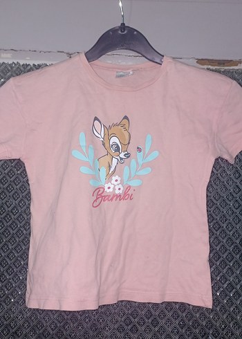 Walt Disney World 24-36 Ay