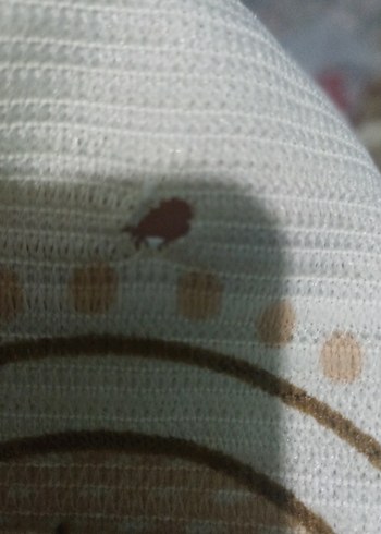 Nostaljik kalın perde - Görsel 6