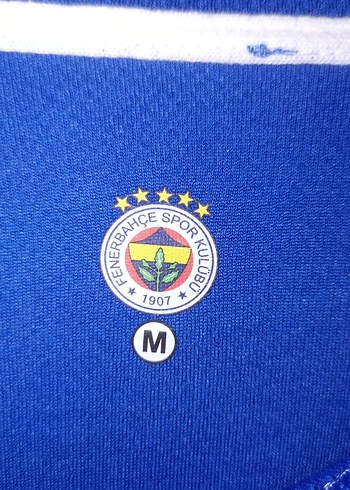 Mavi Kısa Kollu Rahat Kesim Erkek Tişört Fenerbahçe - Görsel 4
