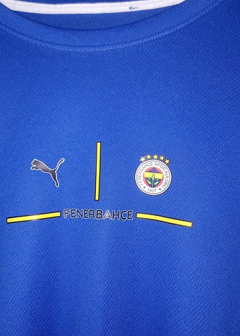 Mavi Kısa Kollu Rahat Kesim Erkek Tişört Fenerbahçe - Görsel 3