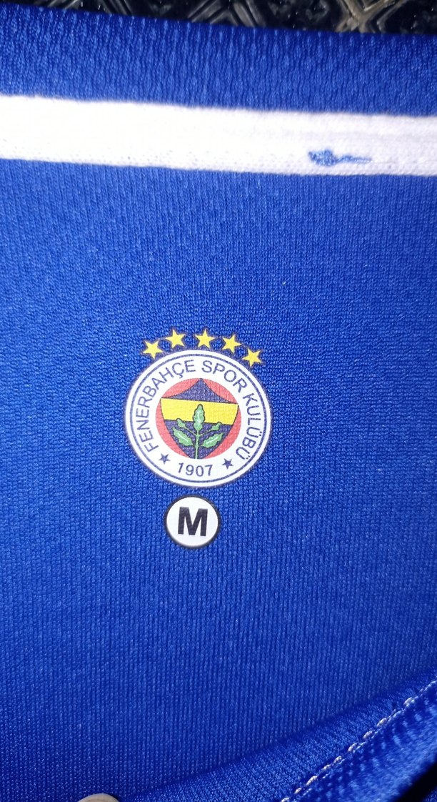 Mavi Kısa Kollu Rahat Kesim Erkek Tişört Fenerbahçe - Görsel 4
