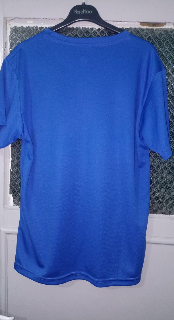 Mavi Kısa Kollu Rahat Kesim Erkek Tişört Fenerbahçe - Görsel 5