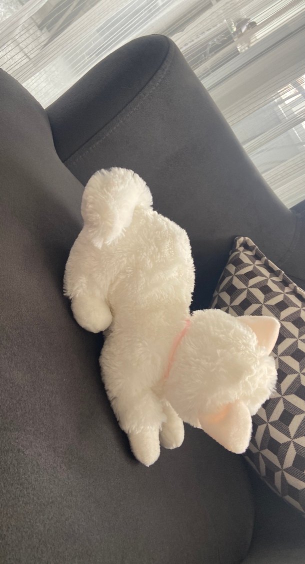 Beyaz Peluş Kedi Oyuncak 30 santım - Görsel 4