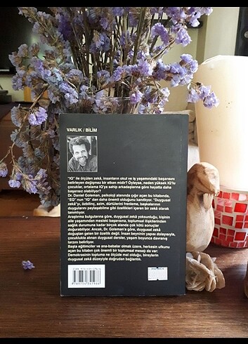  Beden Renk daniel goleman duygusal zeka