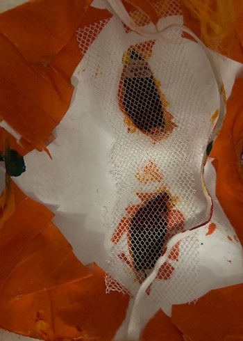 Turuncu kürklü Boncuklu Kedi Maskesi - Görsel 4