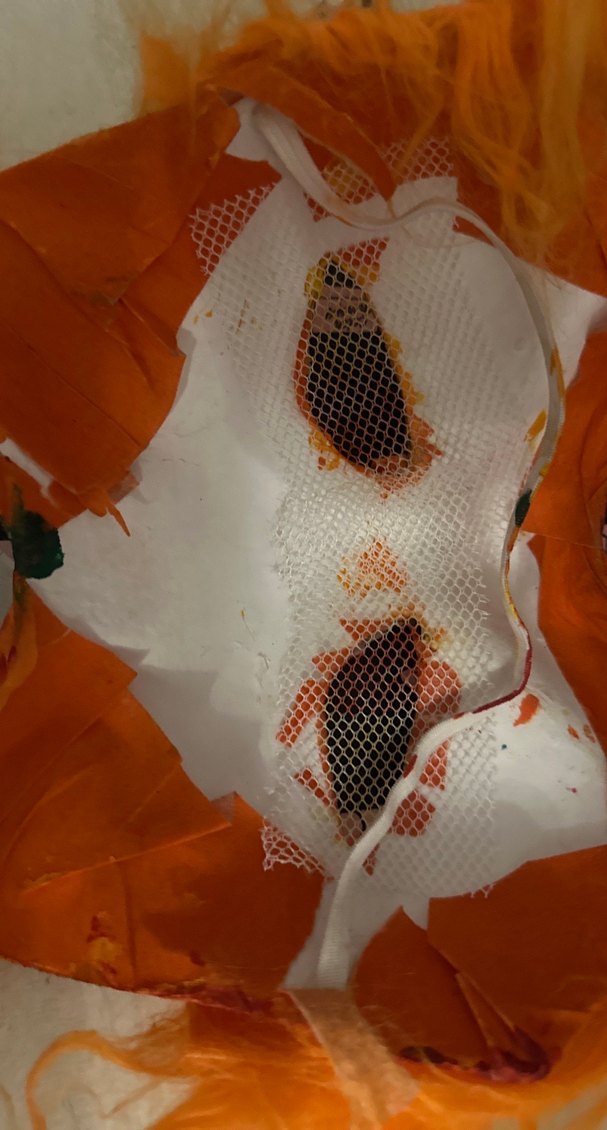 Turuncu kürklü Boncuklu Kedi Maskesi - Görsel 4