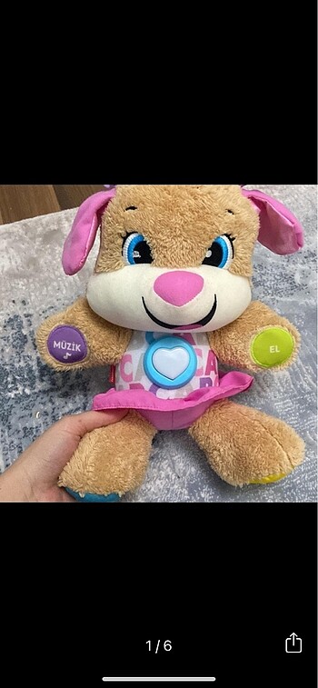 Egitici kopek