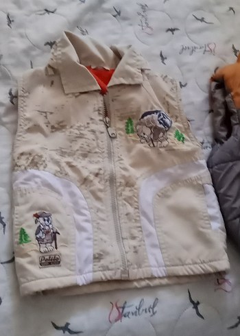 Diğer Düğmeli, Gri Erkek Çocuk Yeleği