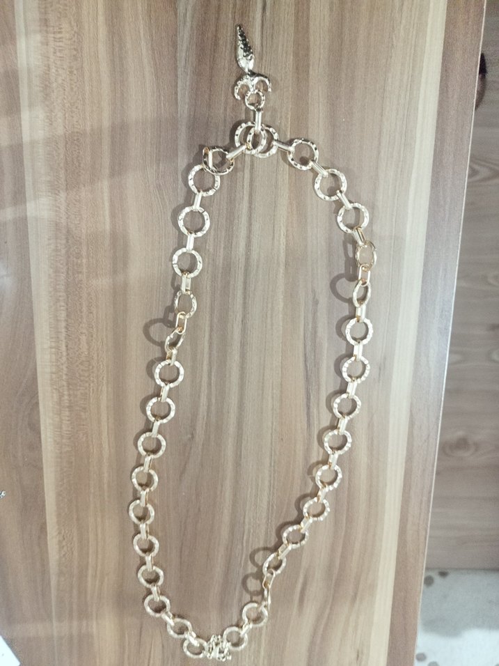 Yılan Desenli Zincir Detaylı kolye - Görsel 2