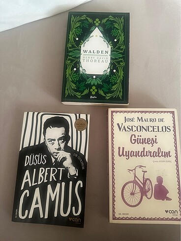 Walden, Albert Camus, güneşi yandıralım, düşüş