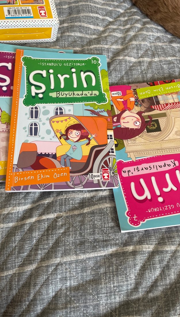 Şirin İstanbul'u Geziyor Çocuk Kitapları Seti - Görsel 4