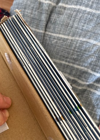 Neşeli Renkler 10+1 Kitap Seti - Görsel 3