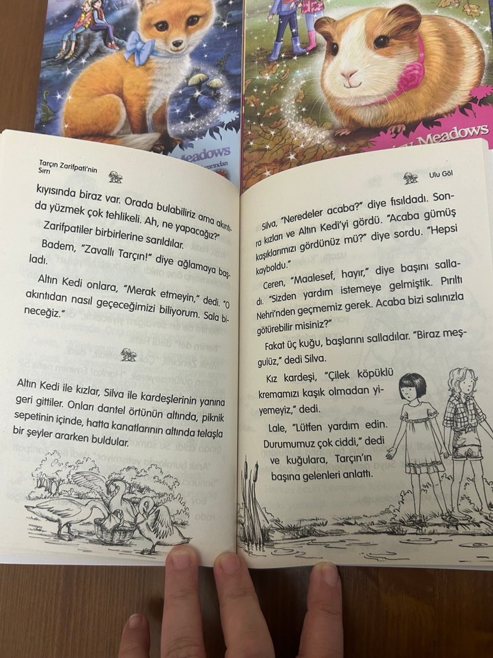 Dostluk Ormanı Çocuk Kitapları Seti - Görsel 2